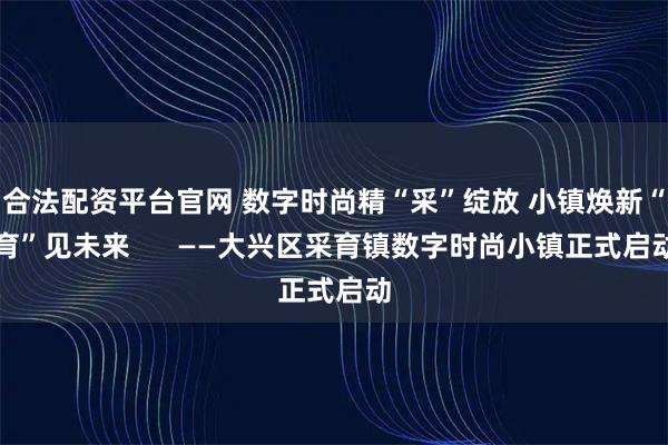 合法配资平台官网 数字时尚精“采”绽放 小镇焕新“育”见未来      ——大兴区采育镇数字时尚小镇正式启动