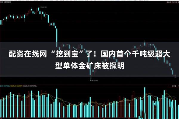 配资在线网 “挖到宝”了！国内首个千吨级超大型单体金矿床被探明